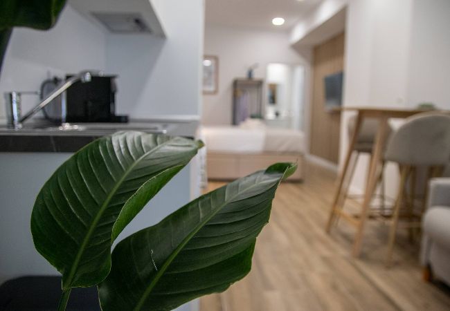 Estudio en Valencia - Cid 3 by Concept Flats Estudio en Valencia - Cid 3 by Concept Flats