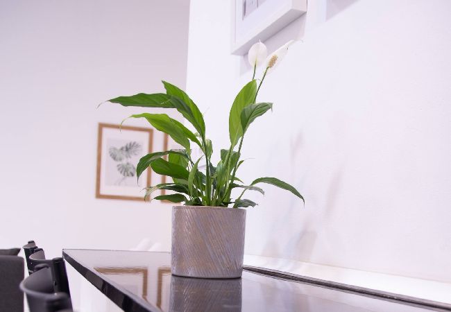 Estudio en Valencia - Viveros 2 by Concept Flats Estudio en Valencia - Viveros 2 by Concept Flats