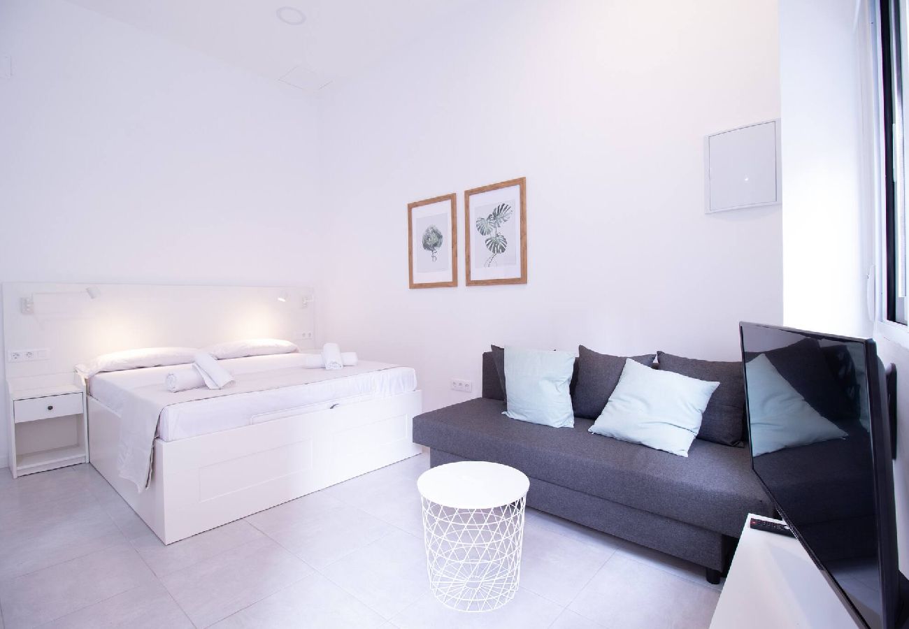 Estudio en Valencia - Viveros 1 by Concept Flats Estudio en Valencia - Viveros 1 by Concept Flats