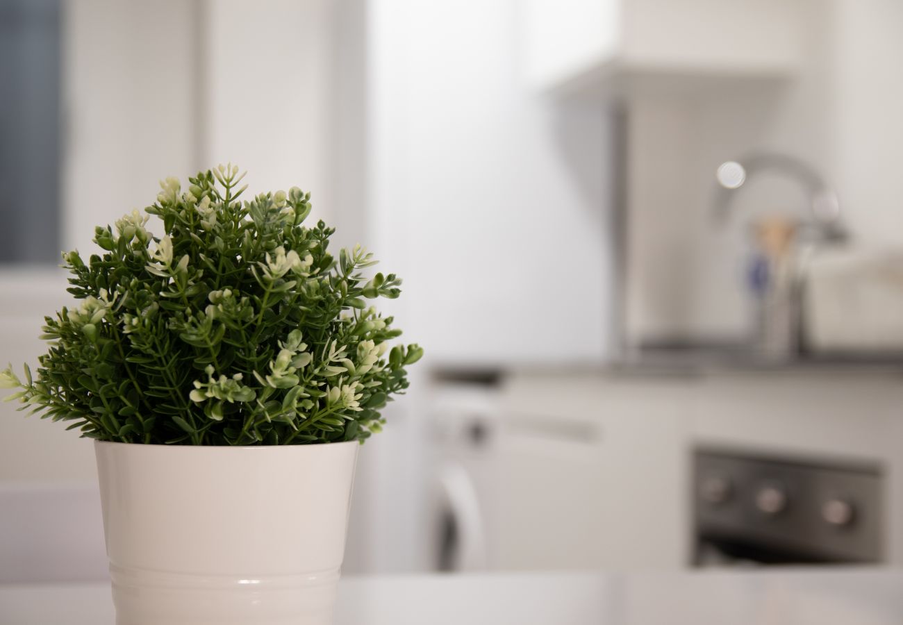 Apartamento en Valencia - Malvarrosa 1 Apartamento en Valencia - Malvarrosa 1