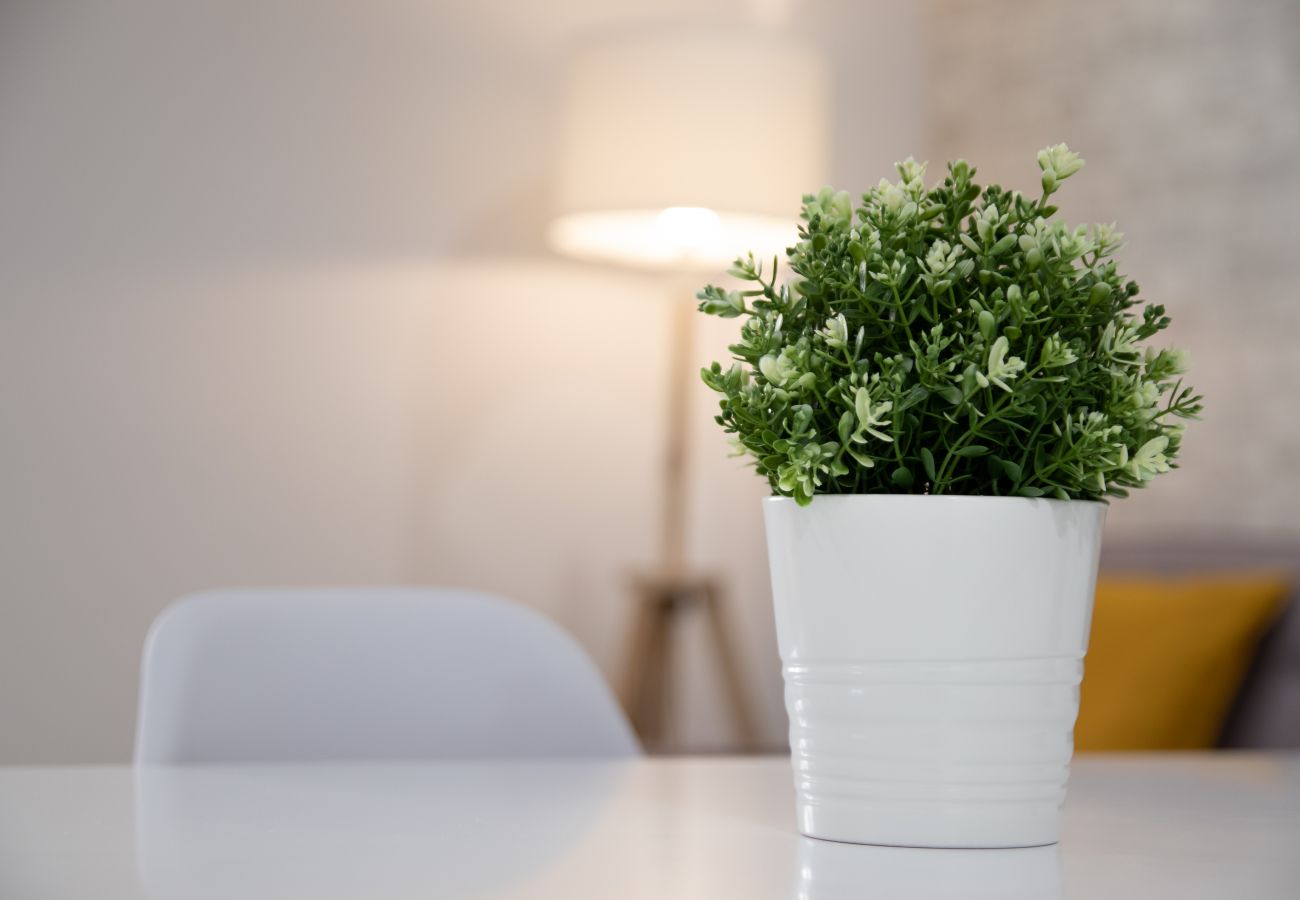 Apartamento en Valencia - Malvarrosa 1 Apartamento en Valencia - Malvarrosa 1