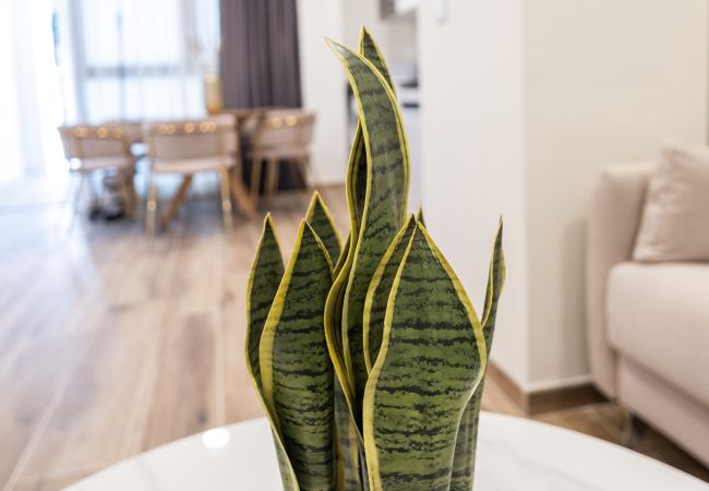 Apartamento en Valencia - Florista F by Concept Flats Apartamento en Valencia - Florista F by Concept Flats