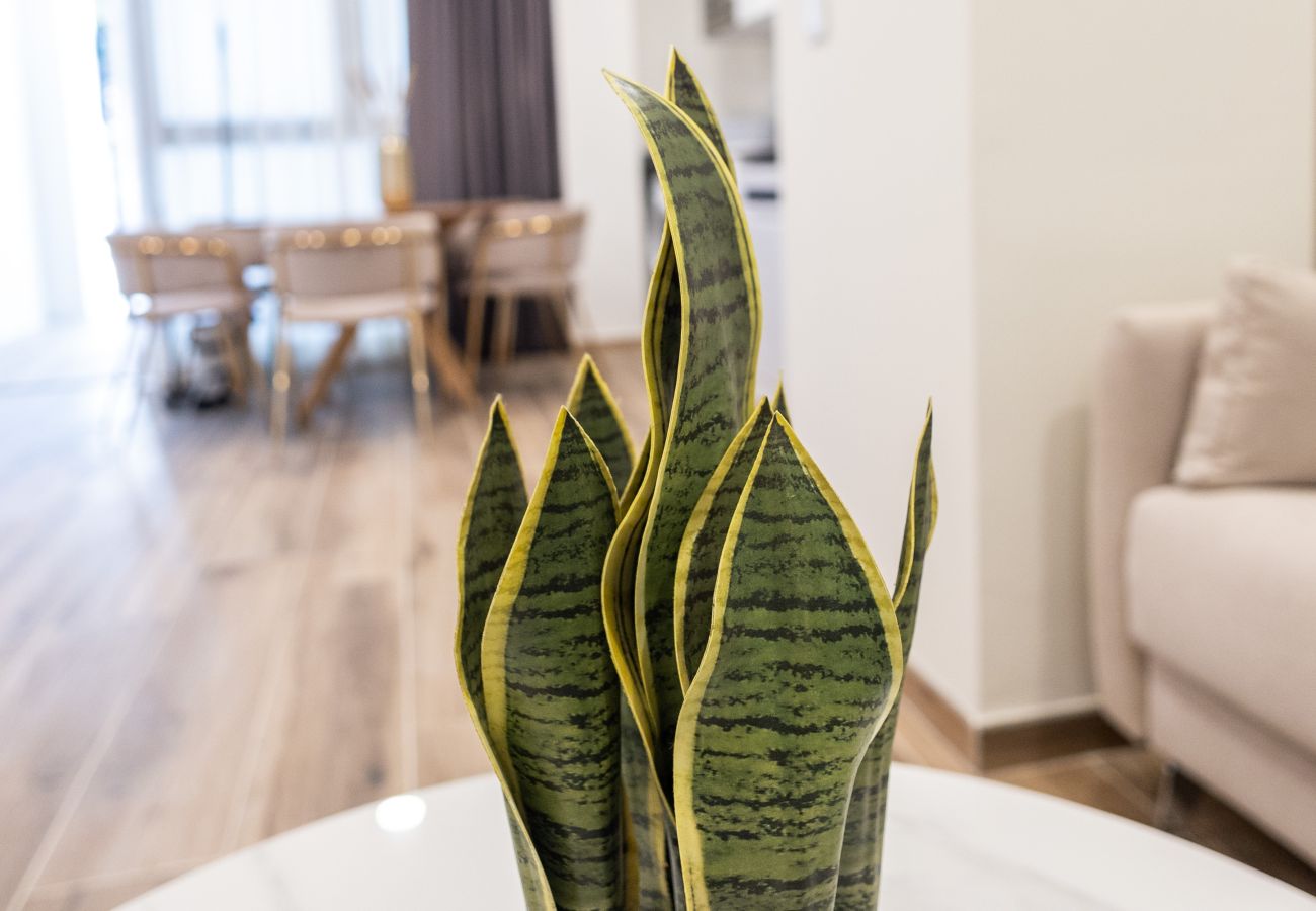 Apartamento en Valencia - Florista F by Concept Flats Apartamento en Valencia - Florista F by Concept Flats