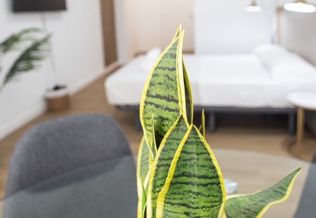 Estudio en Valencia - Imprenta Sorolla A by Concept Estudio en Valencia - Imprenta Sorolla A by Concept