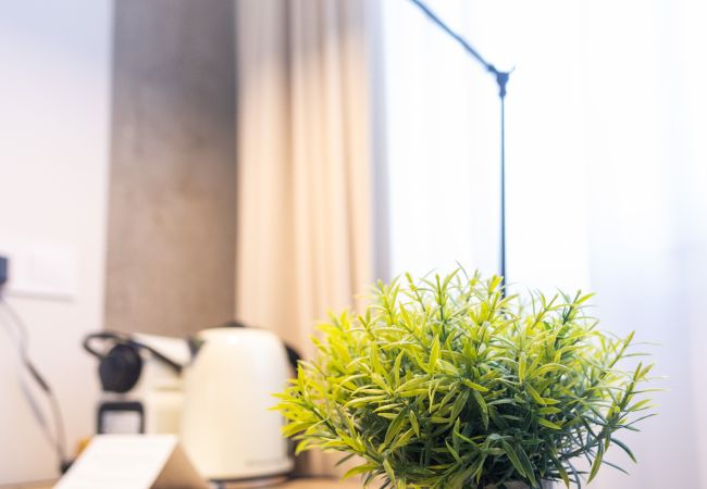 Estudio en Valencia - Rubio Rooms by Concept Flats (Bunk bed) Estudio en Valencia - Rubio Rooms by Concept Flats (Bunk bed)