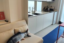 Estudio en Valencia - CariSan2 by Concept