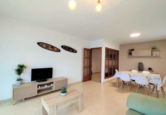 Apartment in Gandia - Girasol by Concept Flats Apartment in Gandia - Girasol by Concept Flats