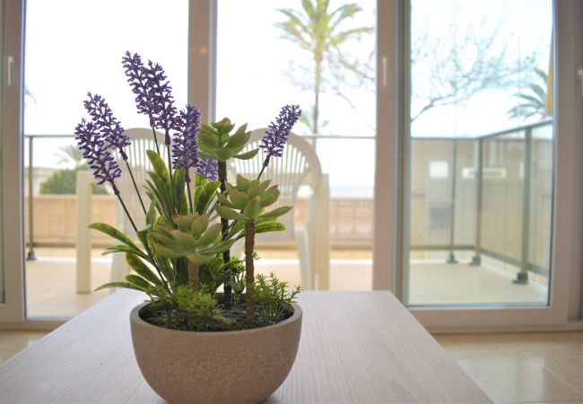 Apartment in Gandia - Girasol by Concept Flats Apartment in Gandia - Girasol by Concept Flats