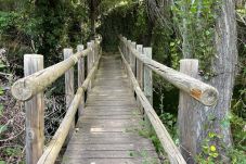 Rent by room in El Cuervo - Double room with a double bed